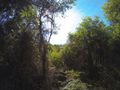 #2: View looking East beyond the confluence, facing the morning sun, and with Sandy Bay beach 1 km distant.