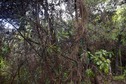#5: View West