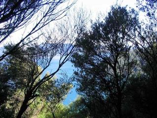 #1: Looking north from the confluence