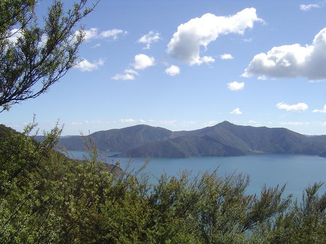 West view from the Confluence