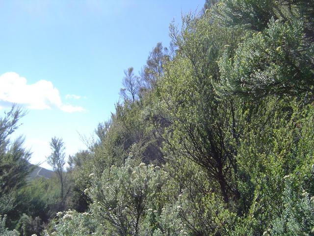 North view - from hilltop close to Confluence