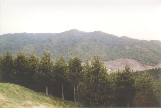Looking east towards Mt Wainui with the confluence point lying in the forest near the bottom left edge.