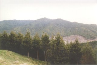 #1: Looking east towards Mt Wainui with the confluence point lying in the forest near the bottom left edge.