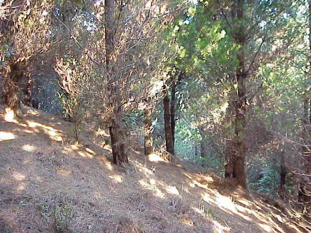 View to the west, toward the sea, from the confluence.