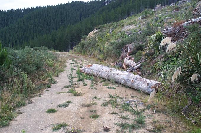 The Flagstaff road wasn't in use anymore and was actually blocked.