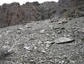 #4: East - Looking up the scree slope to the ridge at about 2000m high.