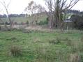 #4: View to the north-northeast from the confluence.