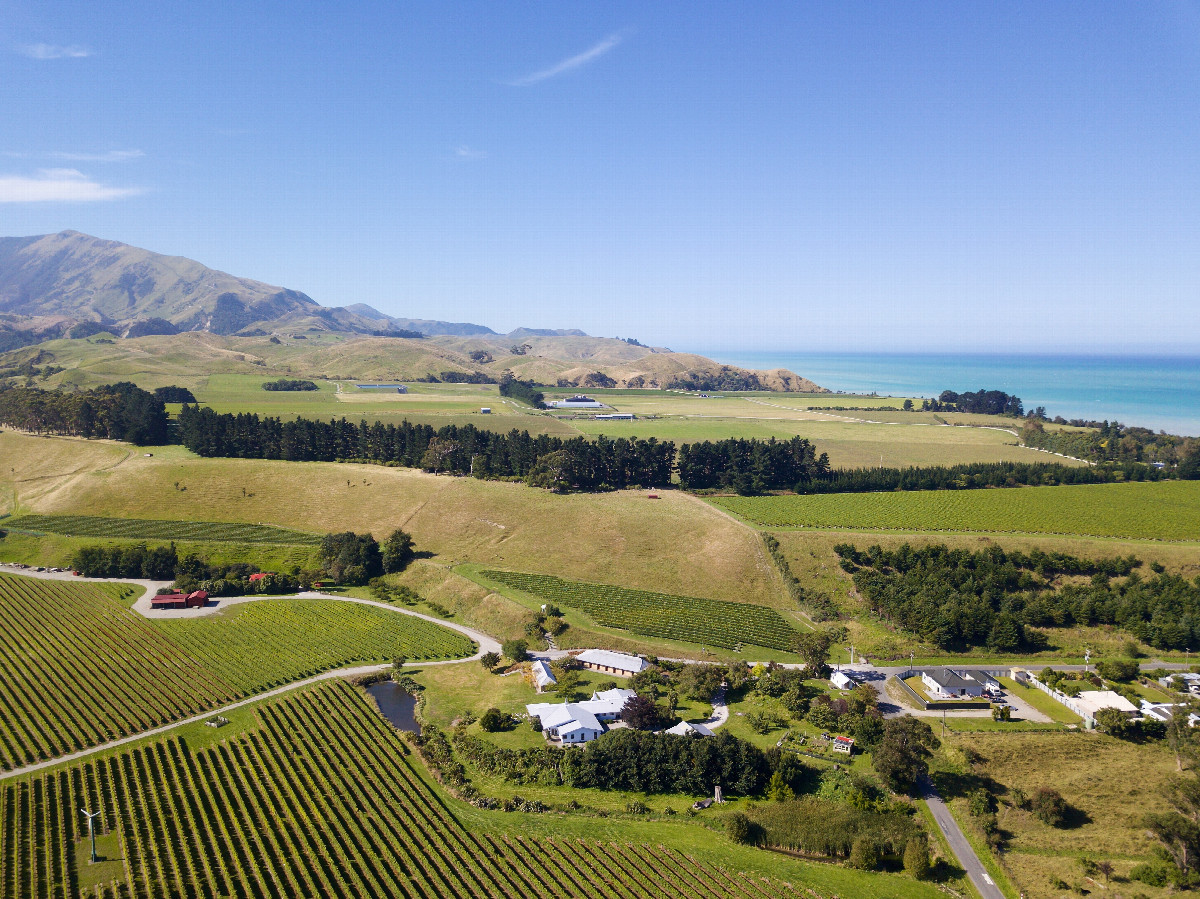 View North past the point from a height of 120m (from the Kekerengu River, 200m South of the point)