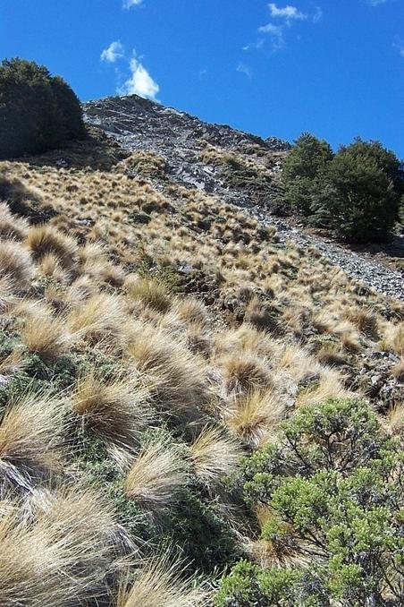 Looking northeast and up to the spur above.