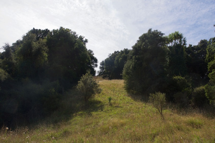 Looking north up the slope towards the point, from 30 m away