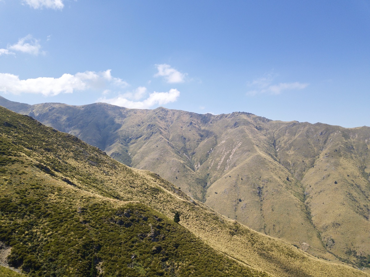 View Northeast, from 120 m above the point