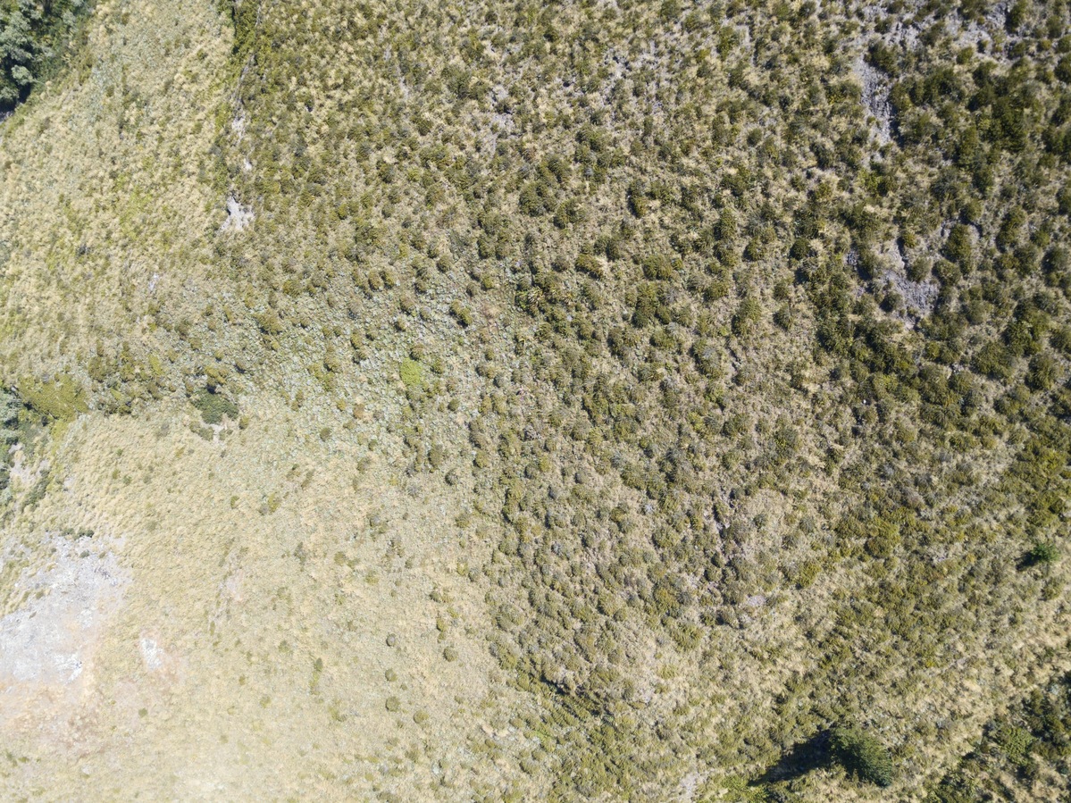 Looking down on the point from 120 m above