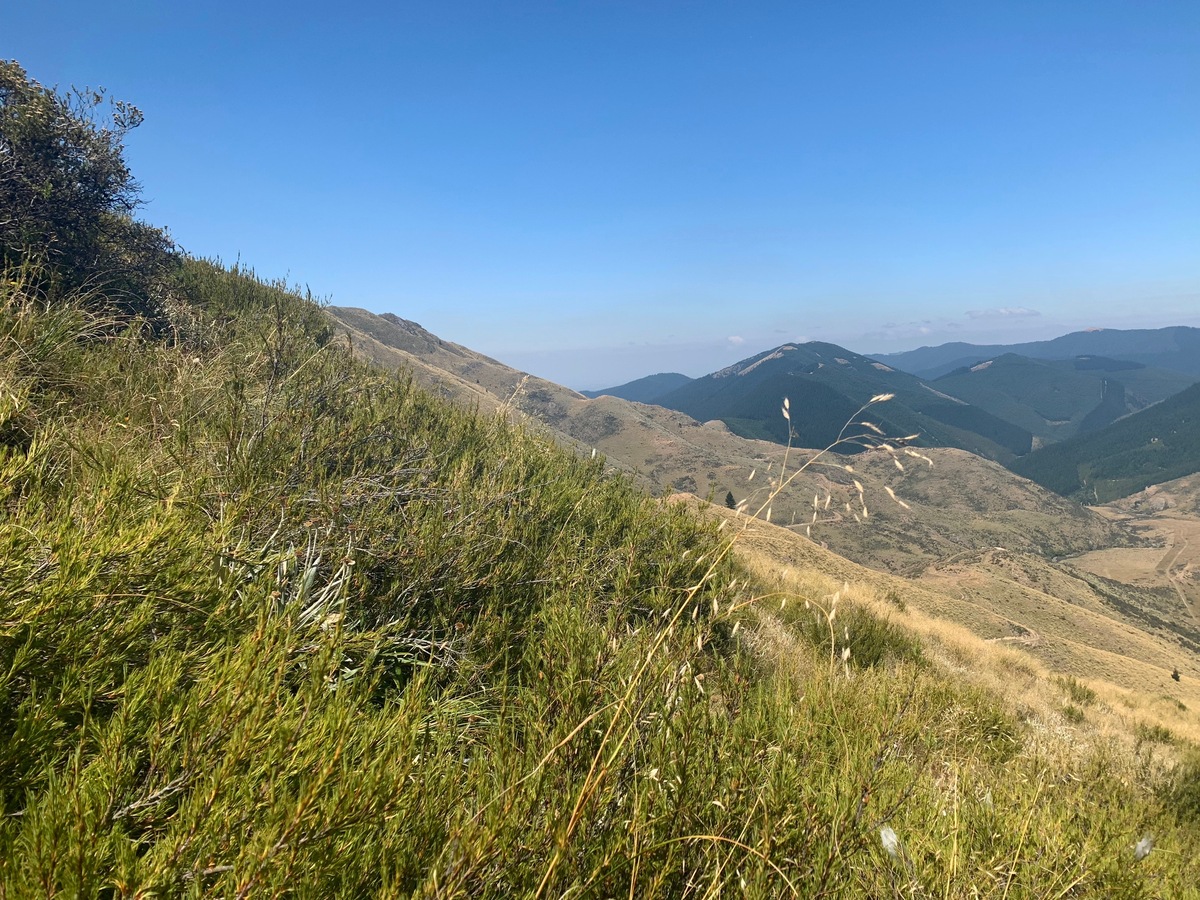 View East