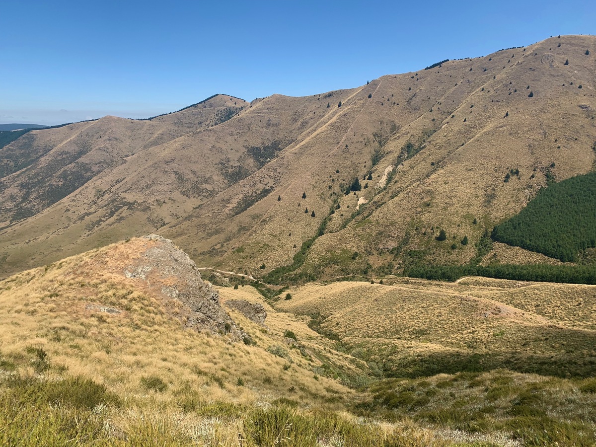 View South (down the hill, towards the Clayton Pack Track)