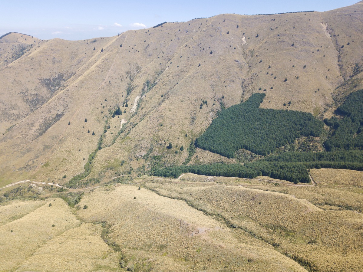 View South (towards Mt Walker, 1169 m), from 120 m above the point