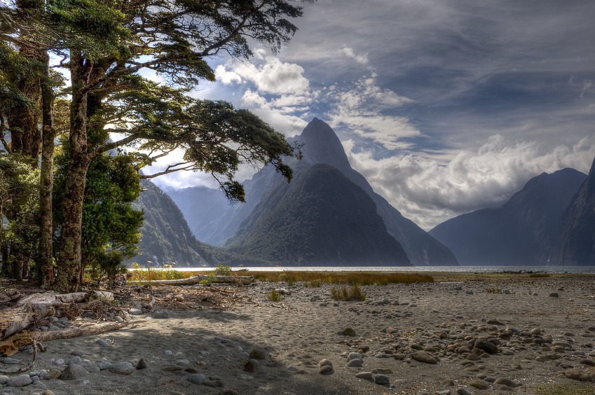 Milford Sound!