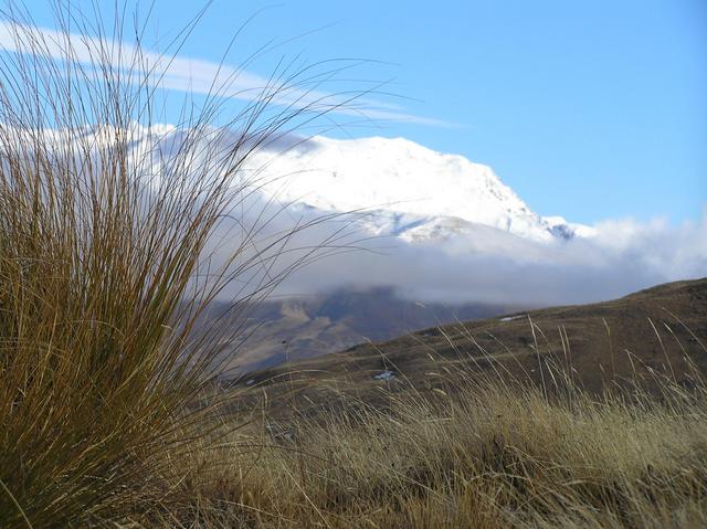 View to the west from the confluence.