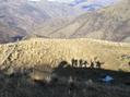 #5: Our shadows, looking to the southwest, showing the Gentle Annie Valley in the distance that we hiked up.