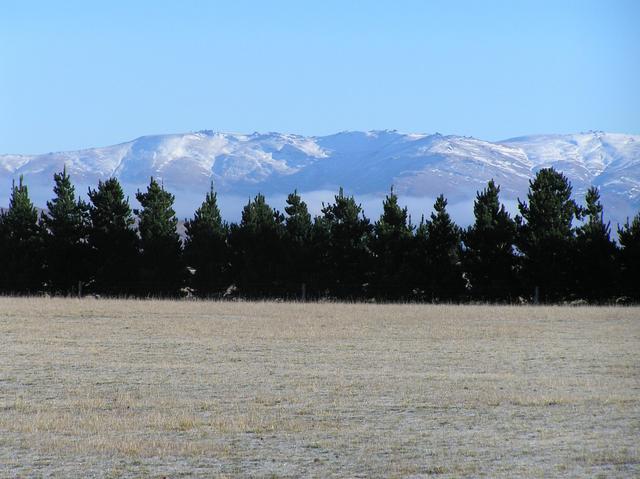 View to the northwest from the confluence site.