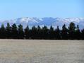 #4: View to the northwest from the confluence site.