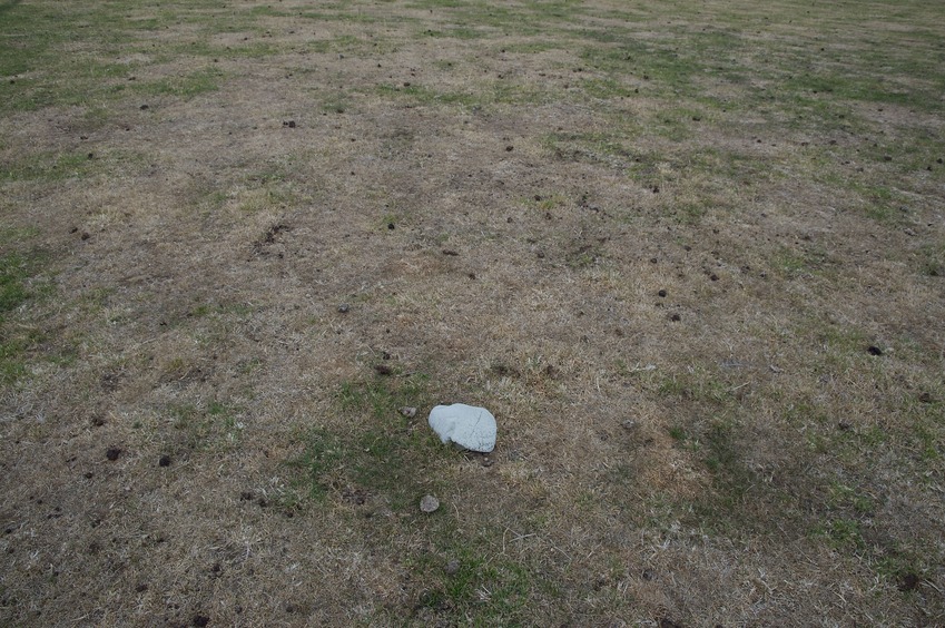 The confluence point lies in the middle of a farm field, with this rock marking the spot