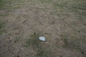 #6: The confluence point lies in the middle of a farm field, with this rock marking the spot