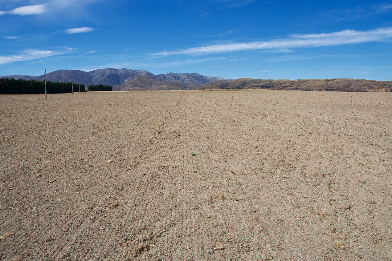 The confluence point lies in a bare farm field.  (This is also a view to the East.)