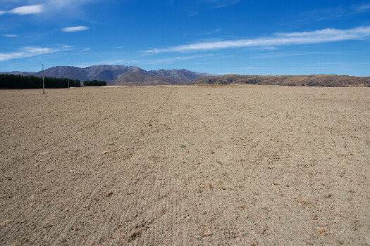 #1: The confluence point lies in a bare farm field.  (This is also a view to the East.)