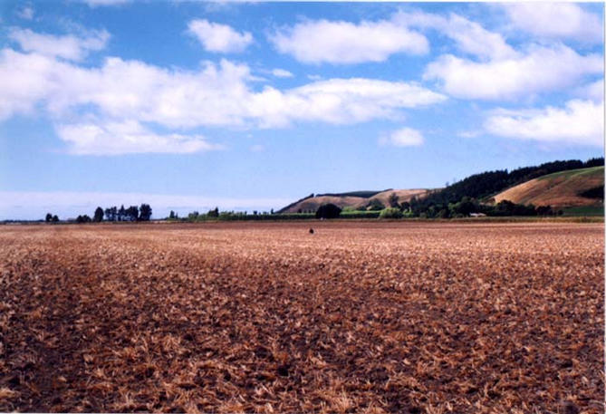 Looking SE from field entrance, the blue marker is on the confluence