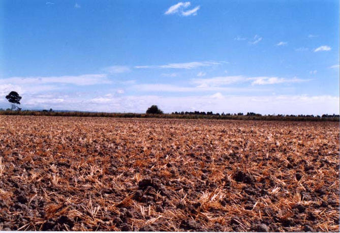 Looking north-ish from the confluence