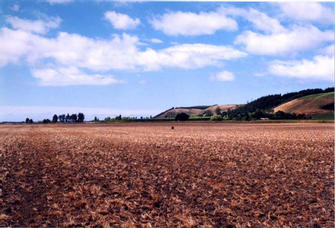 #1: Looking SE from field entrance, the blue marker is on the confluence