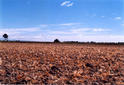 #4: Looking north-ish from the confluence