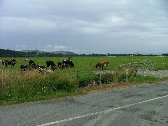 Meeting the locals