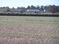 #8: View to the north from the confluence.