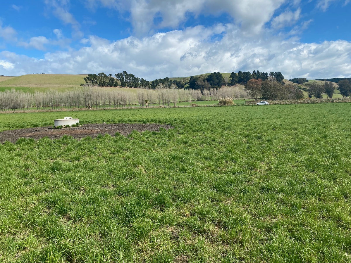 The confluence point lies in a field, currently being used for cattle farming.  (This is also a view to the West)