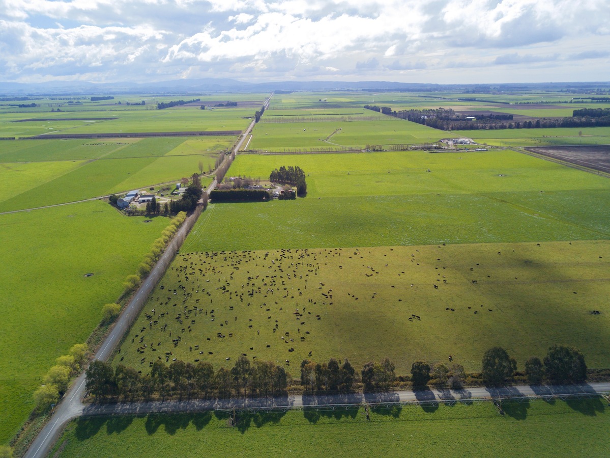 View North, from 120m above the point