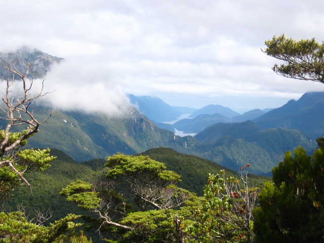 Hiking in Fjordland National Park