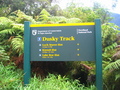#3: The Dusky Track