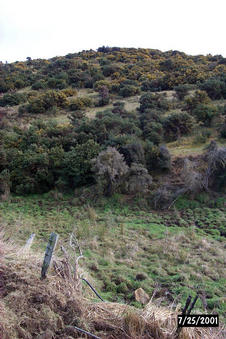 #1: View of the confluence. Its roughly around the bare tree/bush in the center of the picture.