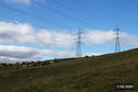 #4: Power lines and cows. What a combo.