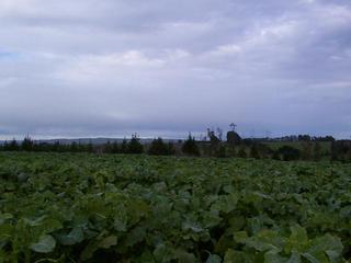 #1: View South