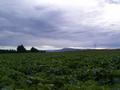 #2: View North
