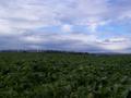 #7: View East