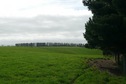 #3: East view