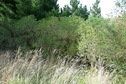 #4: South view