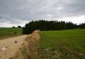 #7: A view of the small patch of forest (containing the point) from 160 m away