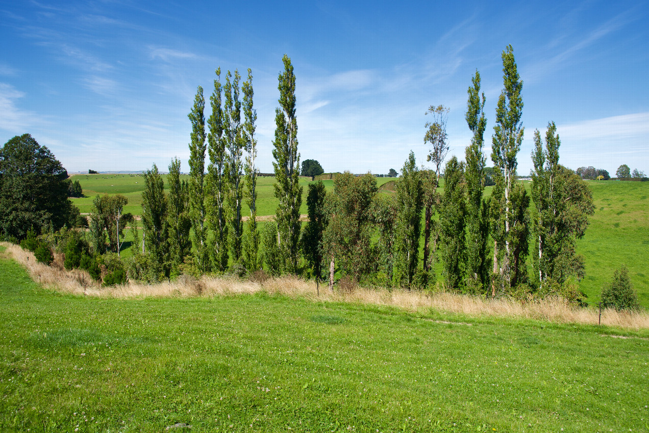 The confluence point lies in a farm field.  (This is also a view to the South, towards the remnants of the forest that used to surround the point.)