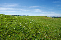 #3: View East