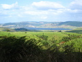 #10: Lake Waihola