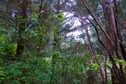 #2: View West